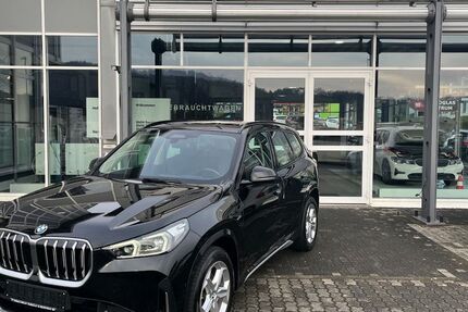 BMW X1 95.100 km 31.950 &euro; Zweibrücken 66482