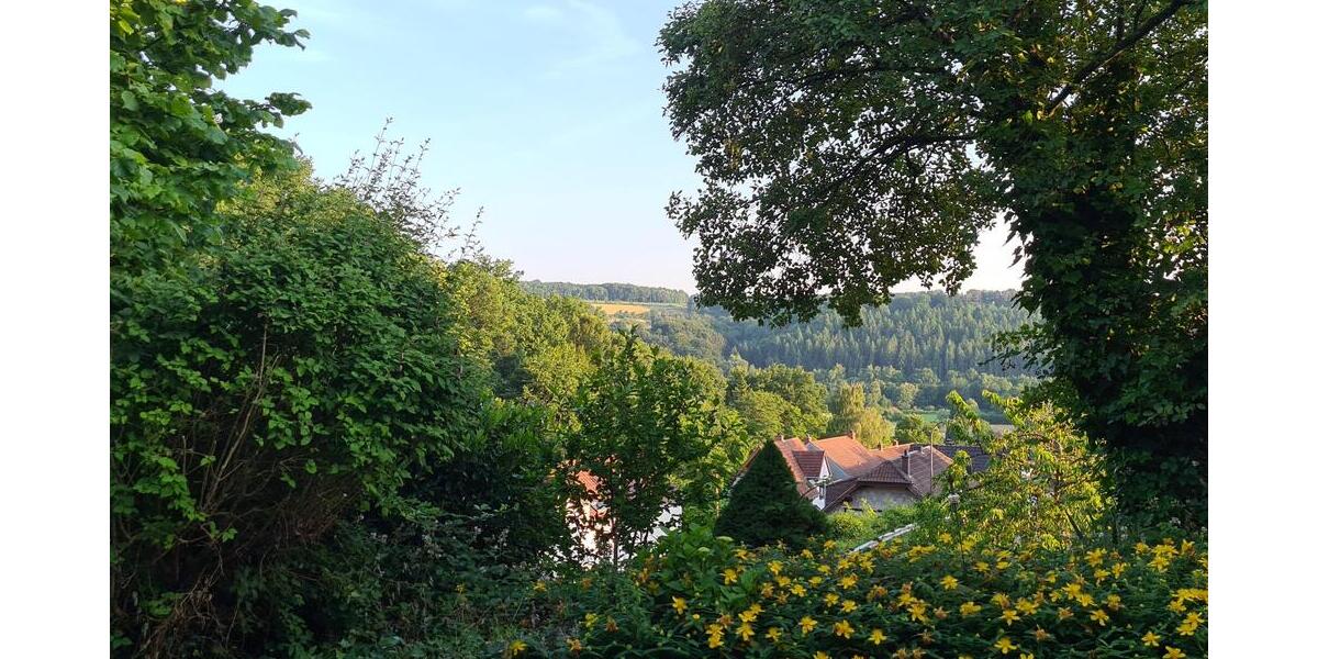 Bungalow mit Satteldach in idyllischer Ortsrandlage mit Fernblick - Einfamilienhaus Homburg | Angebot:21352445