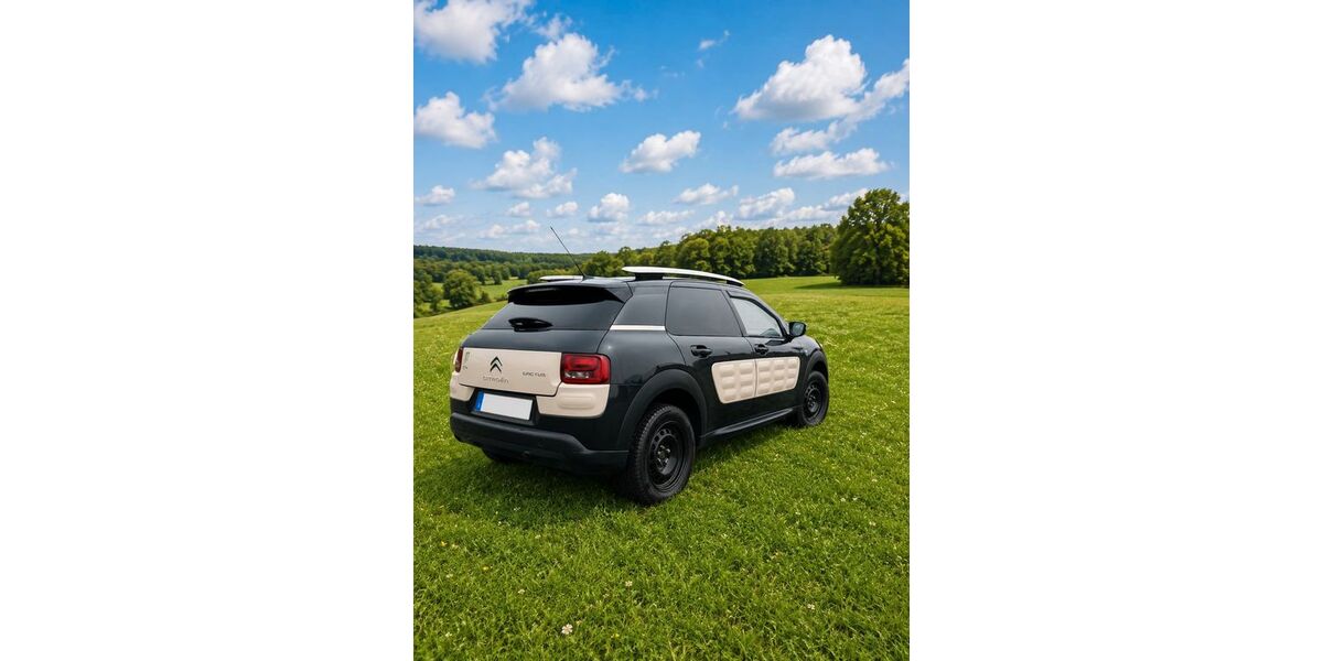 Citroen C4 Cactus 95.000 km 5.590 &euro; Lebach 66822