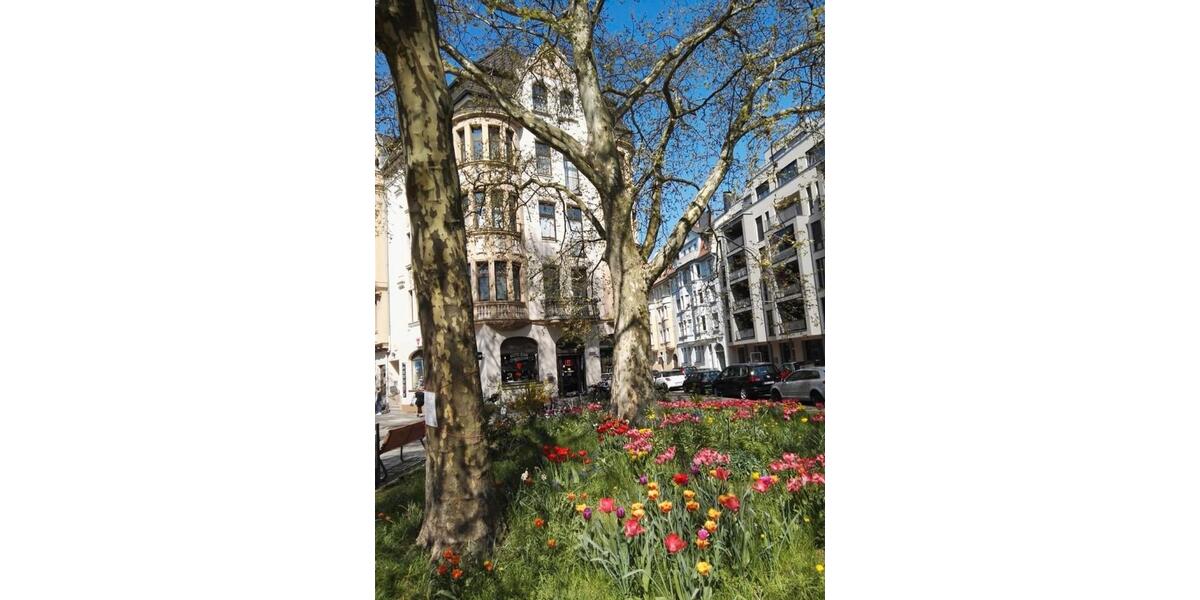 Erdgeschoßwohnung Saarbrücken Eschberg - 2 Zimmer, 50 m&sup2;, 580&euro; | Angebot:26549986