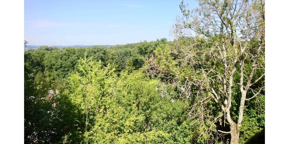 Etagenwohnung Saarbrücken Eschberg - 4 Zimmer, 67 m&sup2;, 157.000&euro; | Angebot:25731178