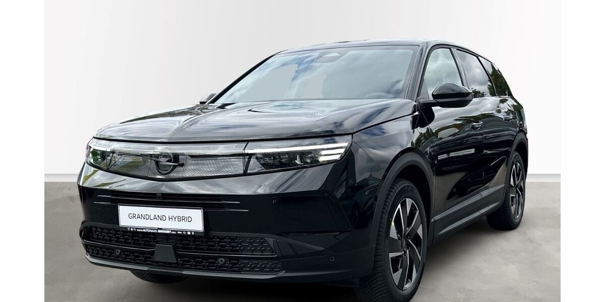 Opel Grandland (X) 2.500 km 35.990 &euro; Homburg 66424