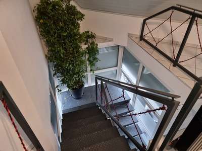 Einfamilienhaus Zweibrücken - 12 Zimmer, 950 m&sup2;, 695.000&euro; | Angebot:21715659