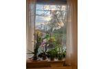 Erdgeschoßwohnung Saarbrücken Kieselhumes - 3 Zimmer, 97 m&sup2;, 1.265&euro; | Angebot:26038548