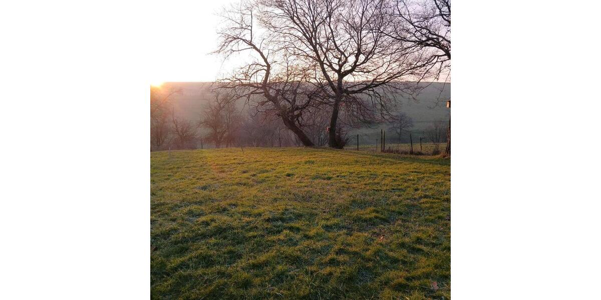 Gewerbeobjekt Zweibrücken - 70&euro; | Angebot:21987391